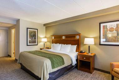 Comfort Inn Herndon-Reston