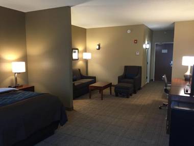 Comfort Inn & Suites Lynchburg Airport - University Area