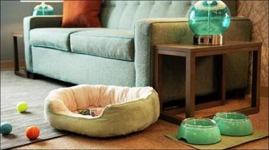 Home2 Suites By Hilton Norfolk Airport