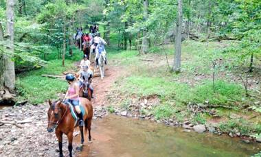 Graves Mountain Farm & Lodges