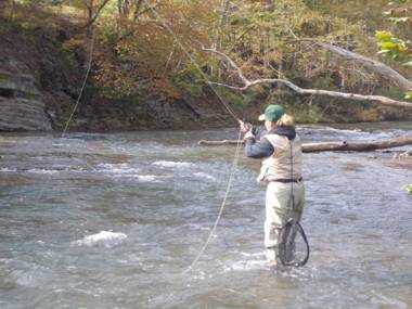 A B&B at Llewellyn Lodge