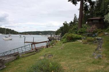 Friday Harbor Lights