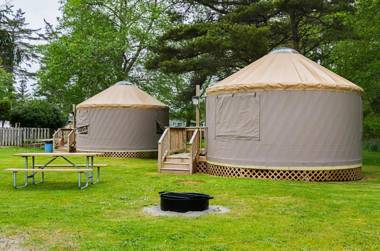 Long beach Camping Resort Yurt 8