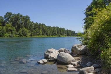Thunderbird One-Bedroom Cabin 5