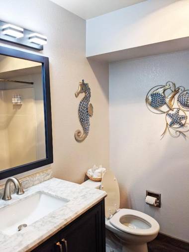 Aurora at Nautilus - Pet Friendly Oceanfront Condo