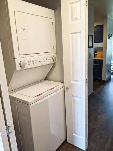 Aurora at Nautilus - Pet Friendly Oceanfront Condo