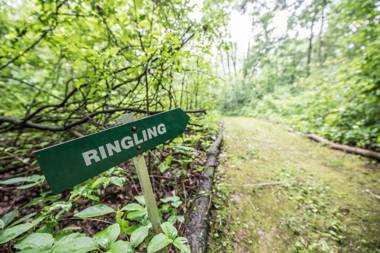INN AT WAWANISSEE POINT