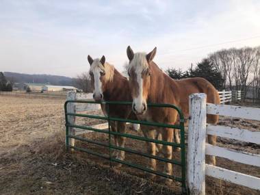 Pinehaven of Baraboo