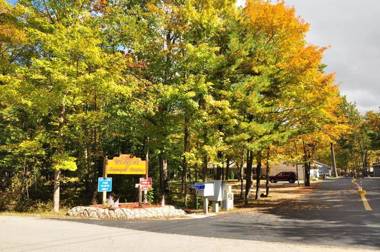 Tranquil Timbers Cabin 11