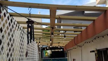 Yellow-Gray Tropical Studio