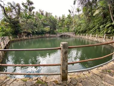 M1 with Ch ef Driver Pool & half off tours