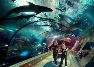 Summer Wind Budget Motel