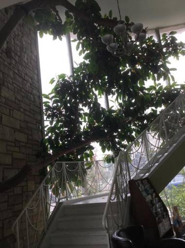 Bevonshire Lodge Motel