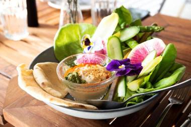 The Shay a Destination by Hyatt