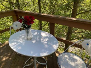 Saw Creek Cabin - Regent Hilltop