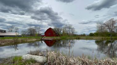 Wild Trails Farm