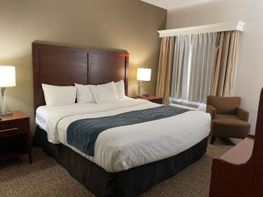 Comfort Inn Downtown - University Area