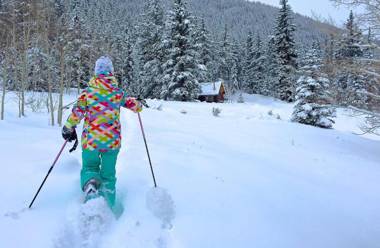 Pioneer Guest Cabins