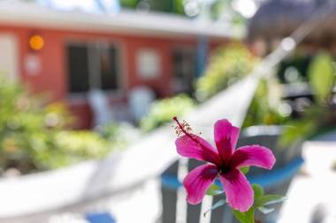 Siesta Key Beachside Villas