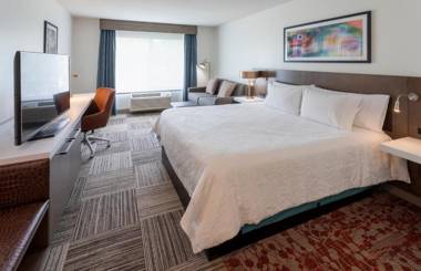 Hilton Garden Inn Minneapolis Saint Paul-Shoreview