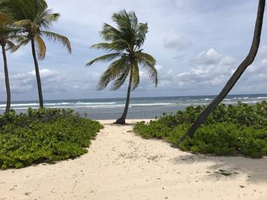 Pelican Cove Condo