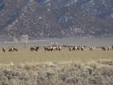 Narrow Gauge Railroad Inn