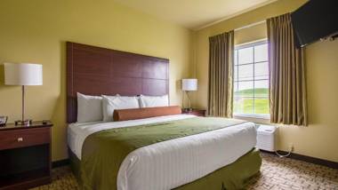 Cobblestone Inn & Suites - Durand