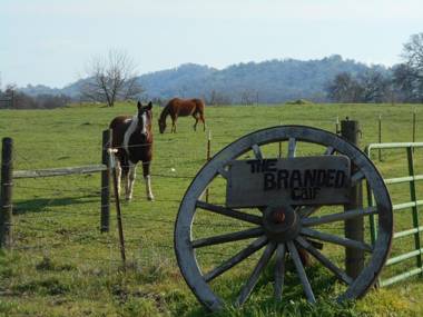 The Branded Calf Bed & Breakfast