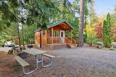 Mount Hood Village Deluxe Cabin 5