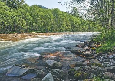 River Dance Retreat