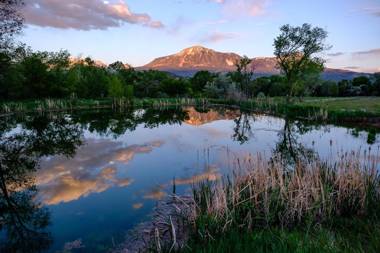 Wisehart Springs Inn