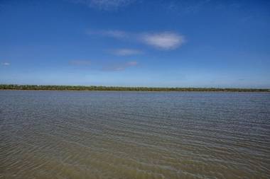 Camp Palms at Indian Pass by Pristine Properties