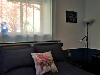 Private Retreat Apartment in DC