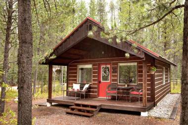 Reclusive Moose Cabins