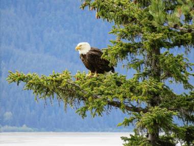 Front Room Lynnview Lodge