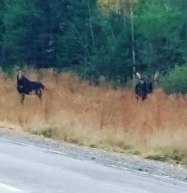 Spillover Motel and Inn