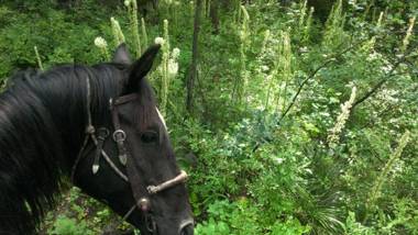 Silvertip Trailhead 2 a newly built home awaits you