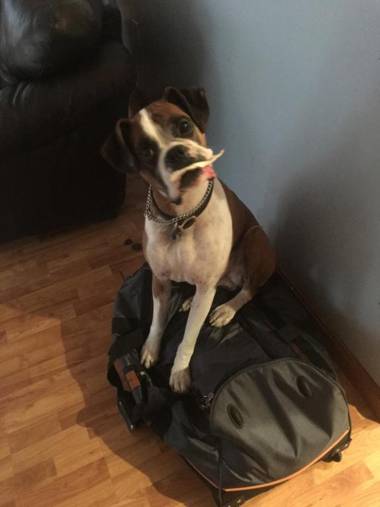 The Cottages at Harvey Lake