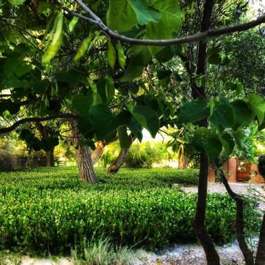 Morning Star Bed & Breakfast of Corrales