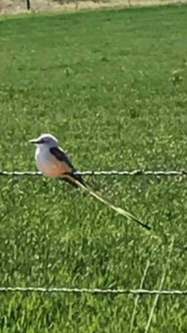 Travelers Inn Wilburton