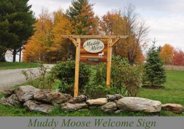 Muddy Moose
