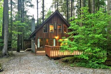 Snowline Cabin #35 - A pet-friendly country cabin. Now has air conditioning!
