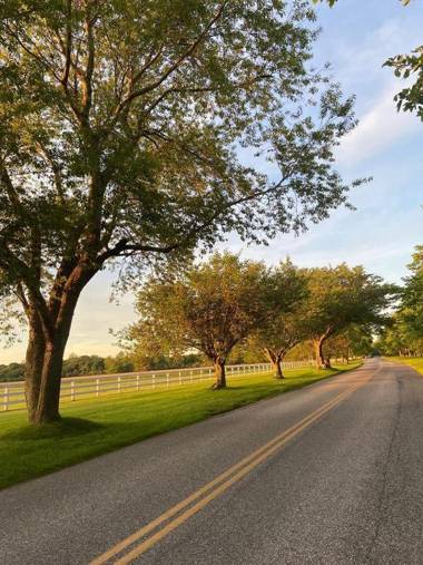 The Roundtree Amagansett