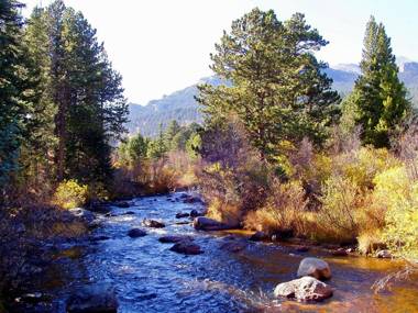 Mountain Masterpiece by Rocky Mountain Resorts