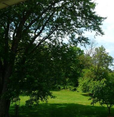 Stone Manor Boutique Inn