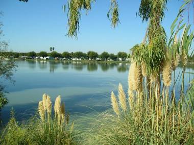 Lake Minden Camping Resort Cottage 1