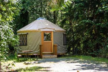 Mount Vernon Camping Resort 16 ft. Yurt 6