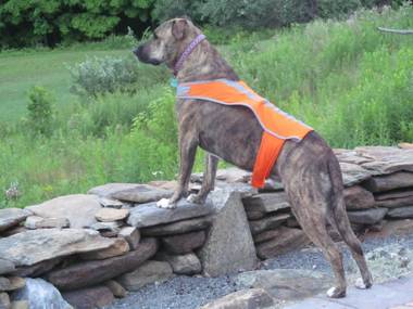 13 Hills Bed & Breakfast