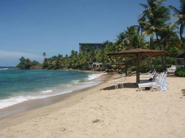 Gardenia- 3BR Dorado- Ocean Views + 3 pools