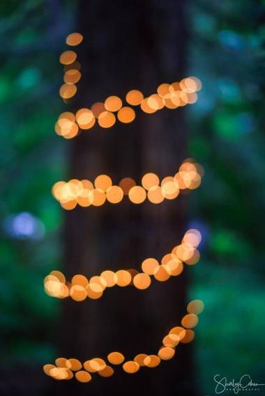 Cozy Home Theatre slps 6